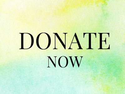 2022 gala website – donate now