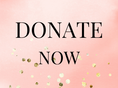 2023 gala donate now button